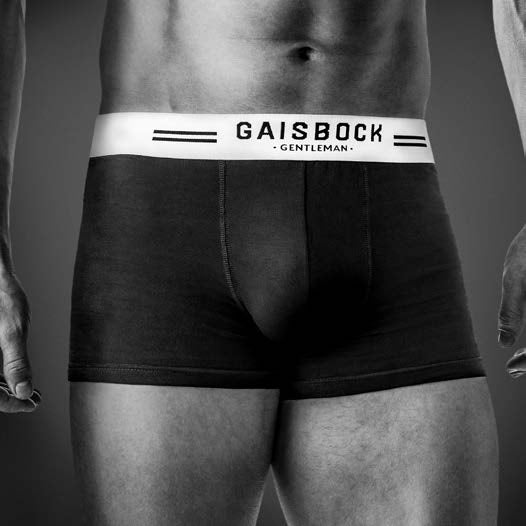 Set GAISBOCK Style