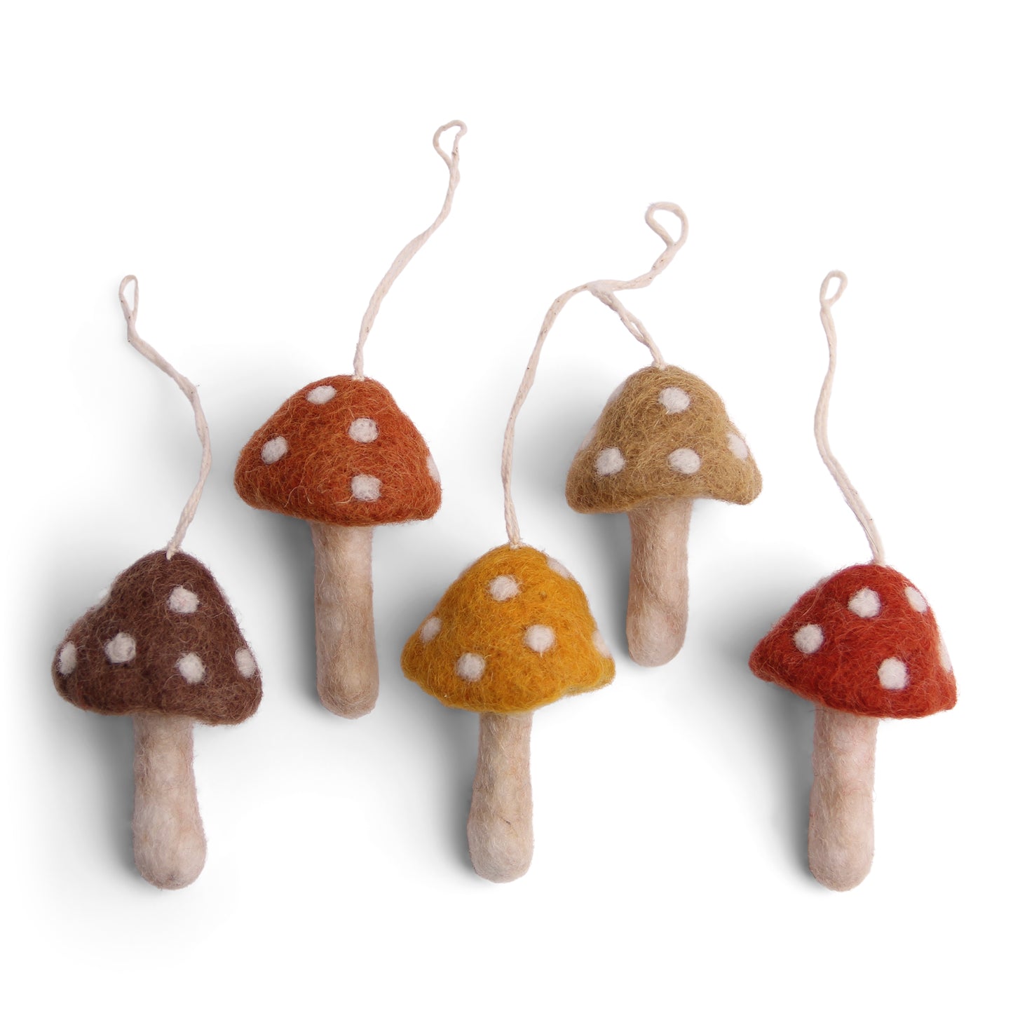 Pilze "5er Set"