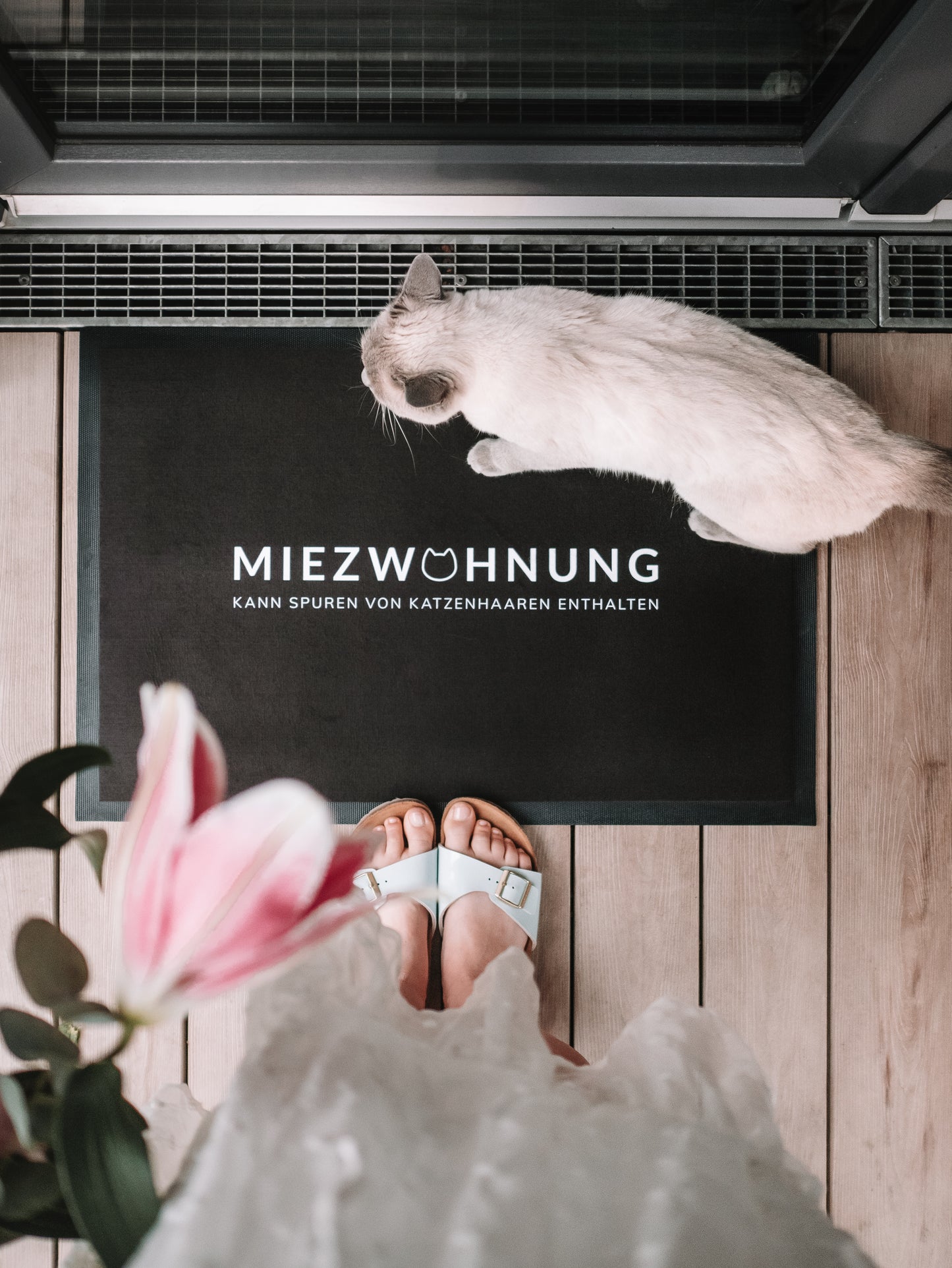 Fussmatte Miezwohnung 75 x 50 cm