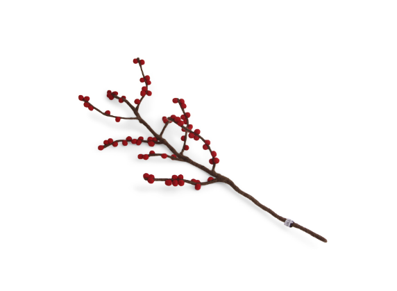 Zweig mit roten Beeren