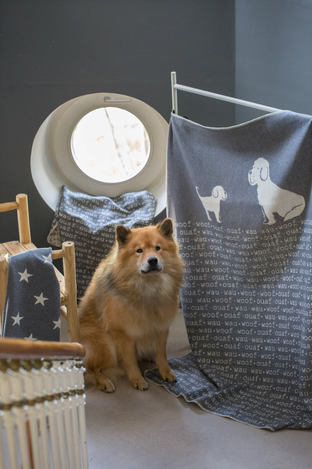Haustierdecke Dog grau 100 x 140 cm