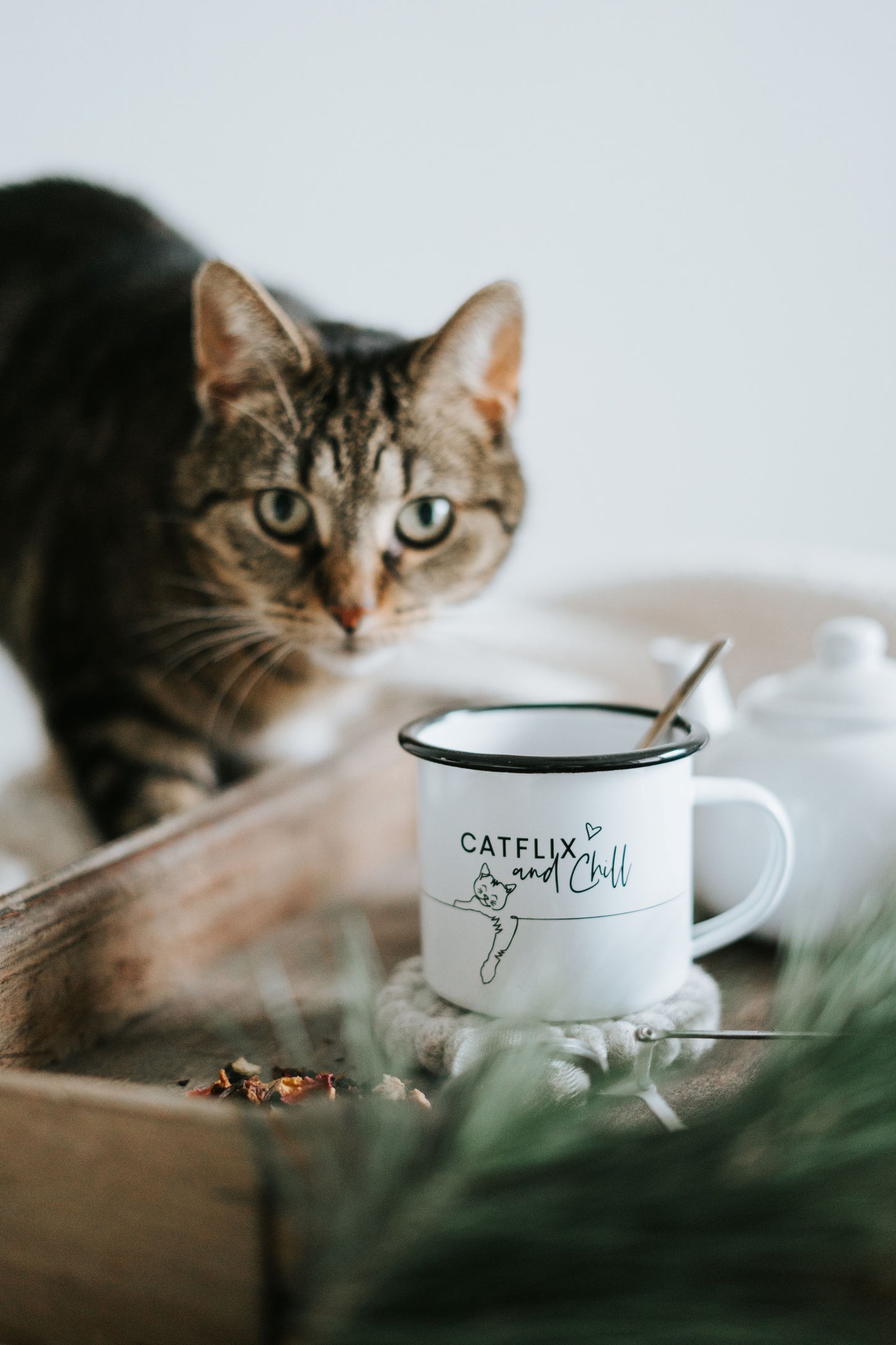 Emaille Tasse Catflix and chill