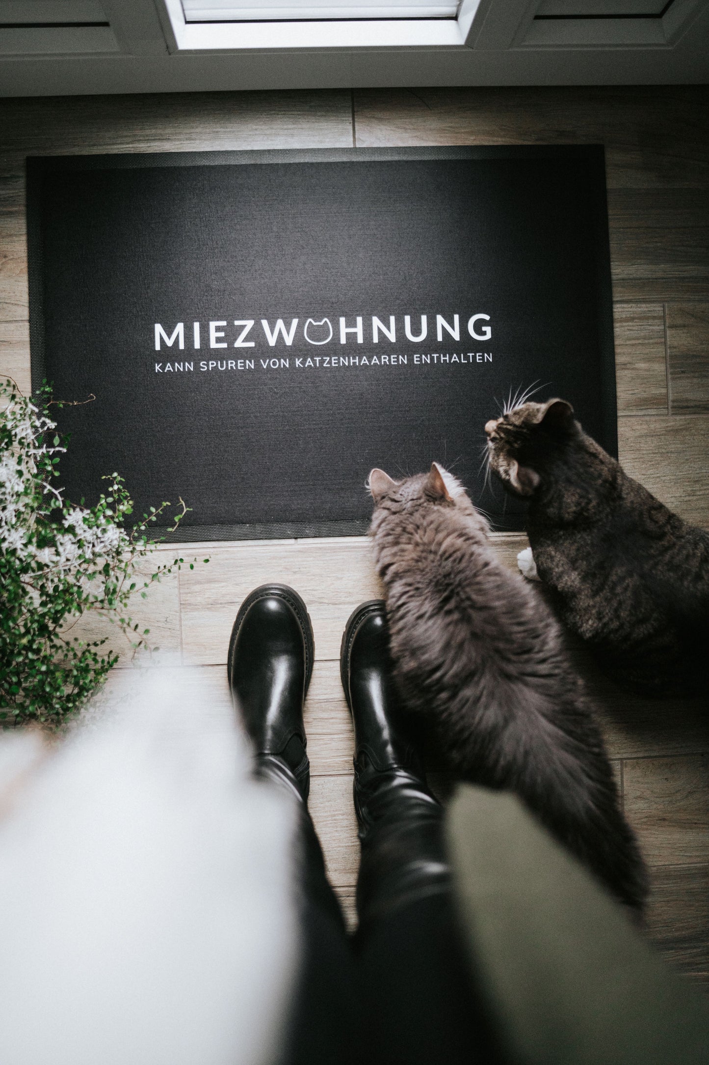Fussmatte Miezwohnung 75 x 50 cm